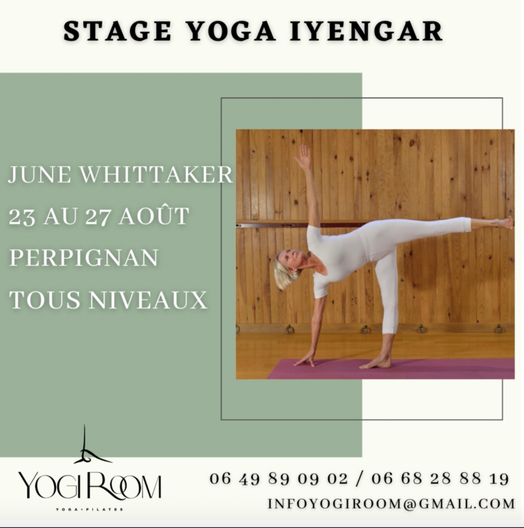 Centre yoga Iyengar Ashtanga Perpignan stage avec June Whittaker